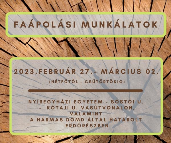 Folytatódnak a faápolási munkálatok 