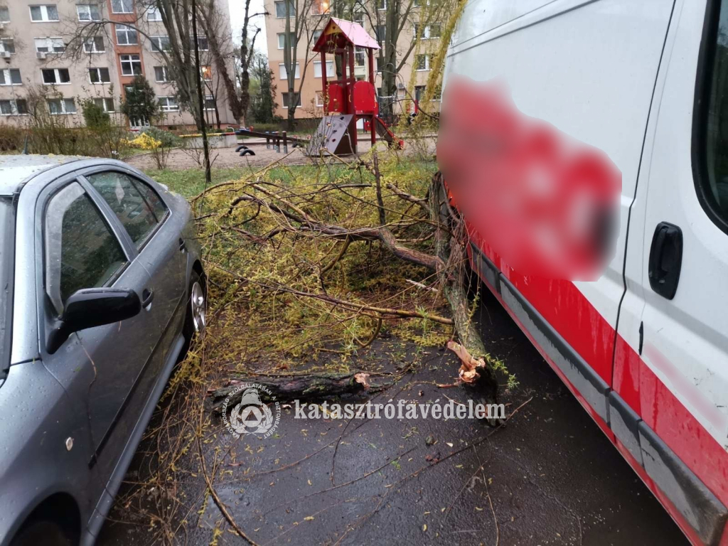 A viharos szél vármegyénkben is okozott károkat