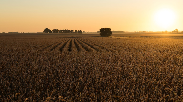 Megyei gazdálkodókat is kérdeznek, az Agrárium 2023 összeírás során