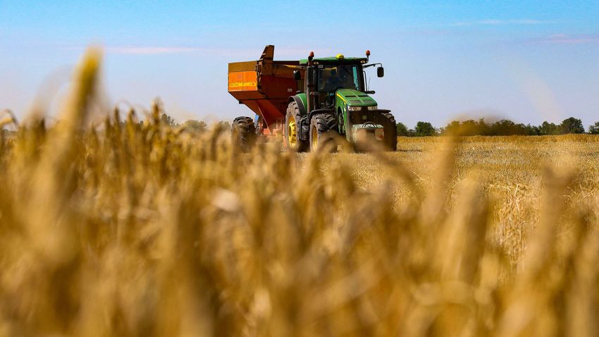 Uniós rendelet váltja a tagállami rendeleteket az ukrán agrártermékek 