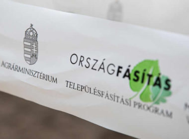 Sikerrel zárultak a Településfásítási program őszi ültetései