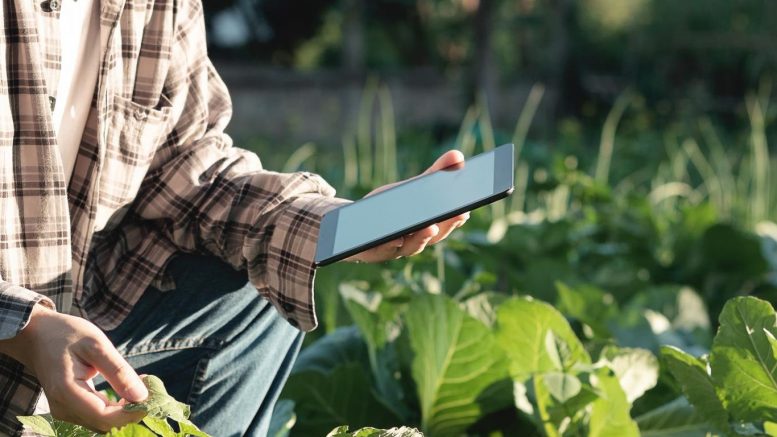 Meghosszabbítja az Agrárminisztérium a Gazdálkodási Napló elektronikus feltöltésének határidejét