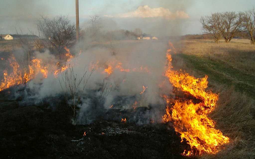 Az idén már meghaladta a 130-at a szabadtéri tűzesetek száma