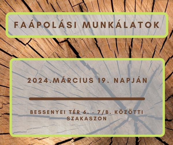 Faápolási munkálatok a Bessenyei téren