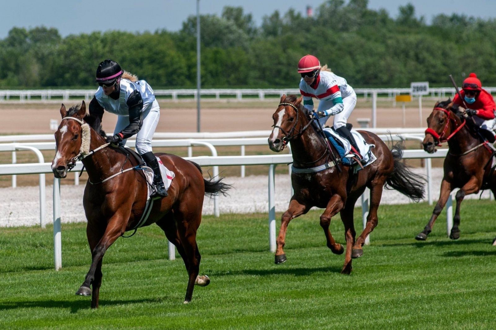 Elkezdődött az idei galopp-szezon