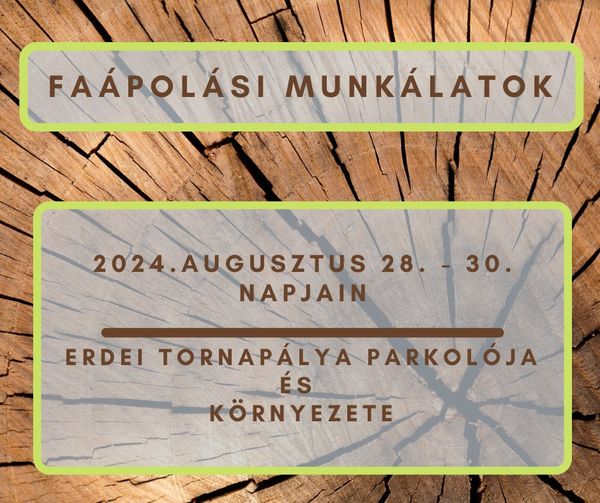 Faápolási munkálatokat lesznek az Erdei Tornapálya környezetében