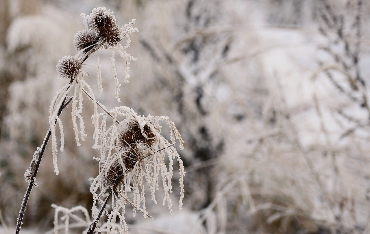 Nyírtasson mínusz 6,5 Celsius-fokot mértek