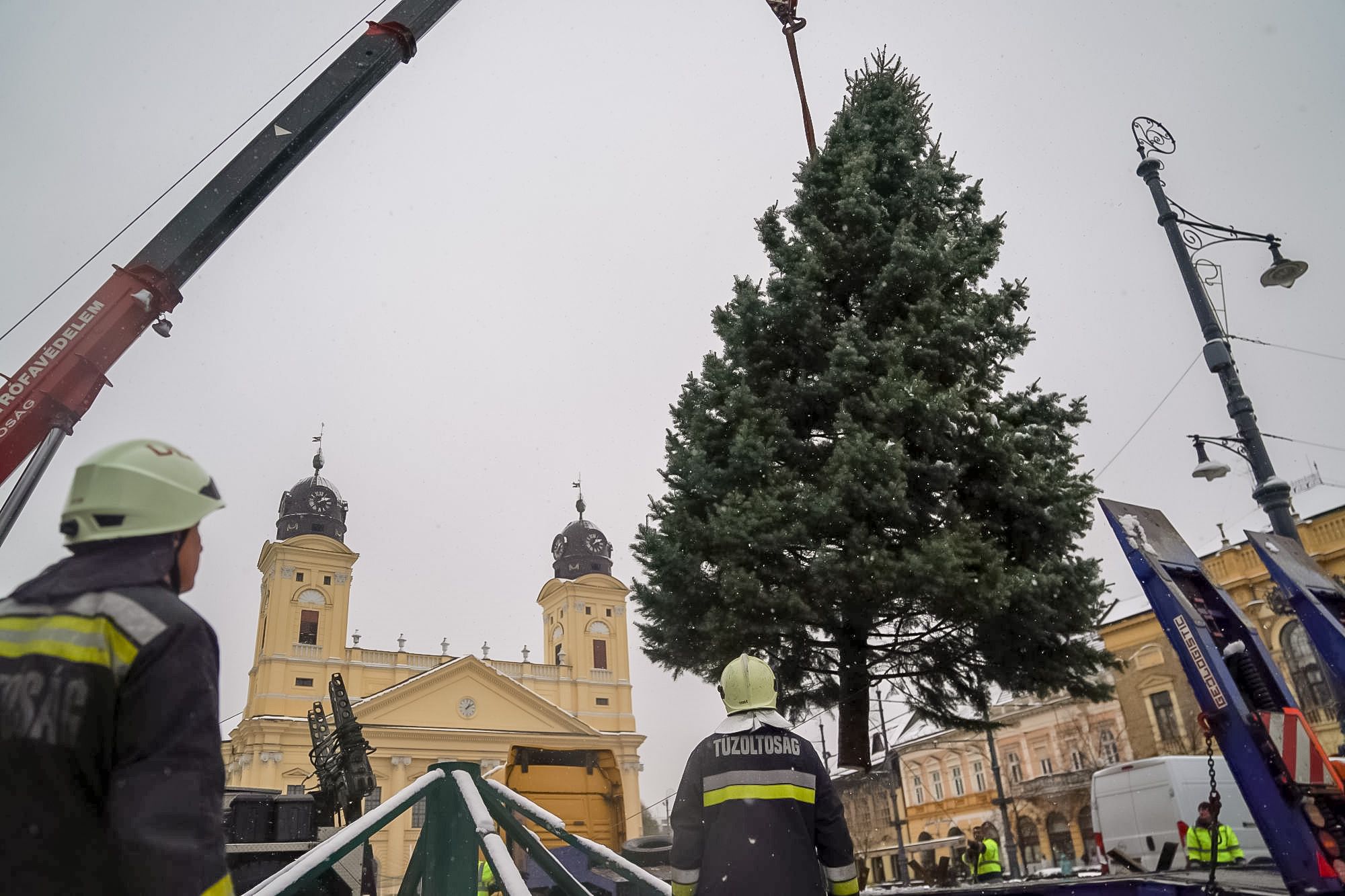 Felsőjózsáról érkezett Debrecen karácsonyfája