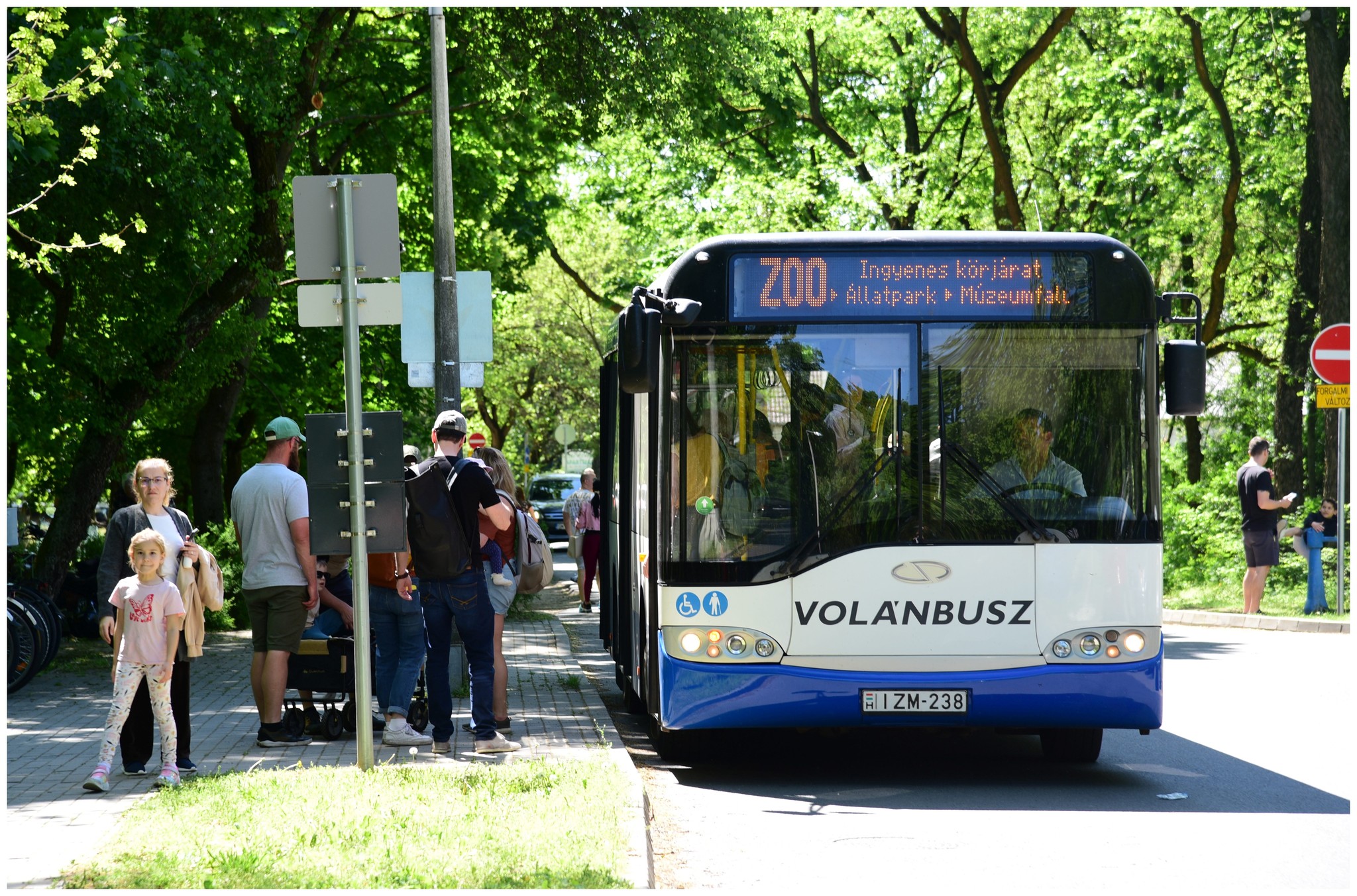 Hétvégenként újra közlekedik az ingyenes ZOO feliratú midibusz