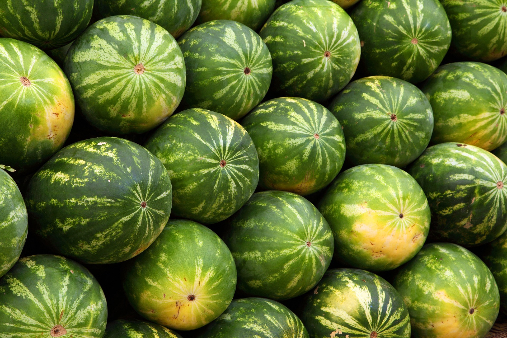 Később, de bőségesebb dinnyeszezonra számíthatunk