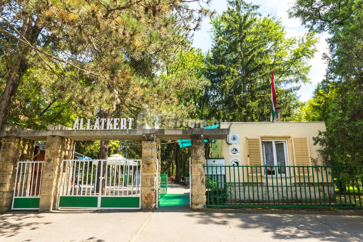 Változások Debrecen kulturális élvonalában