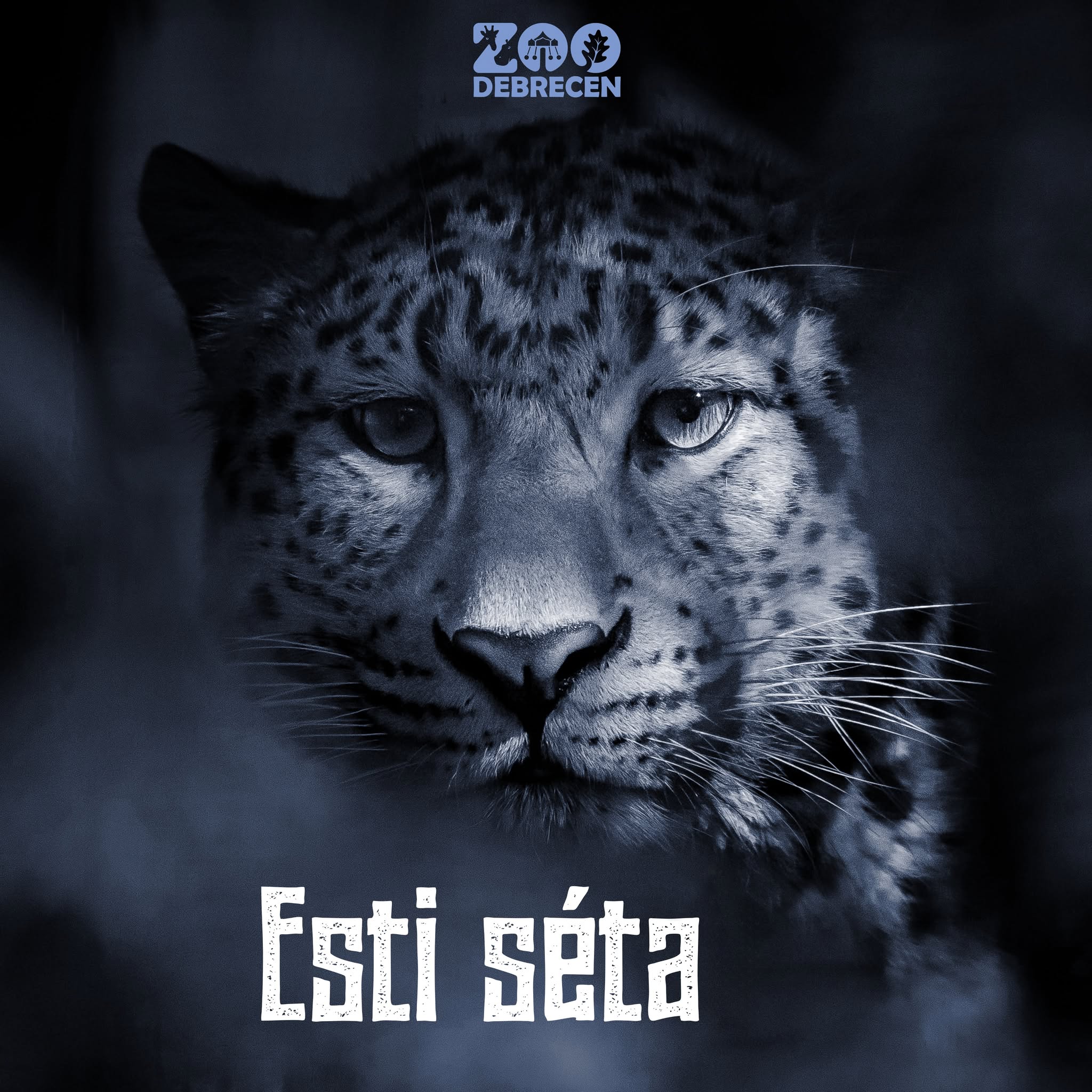 Esti séták a ZOO Debrecenben