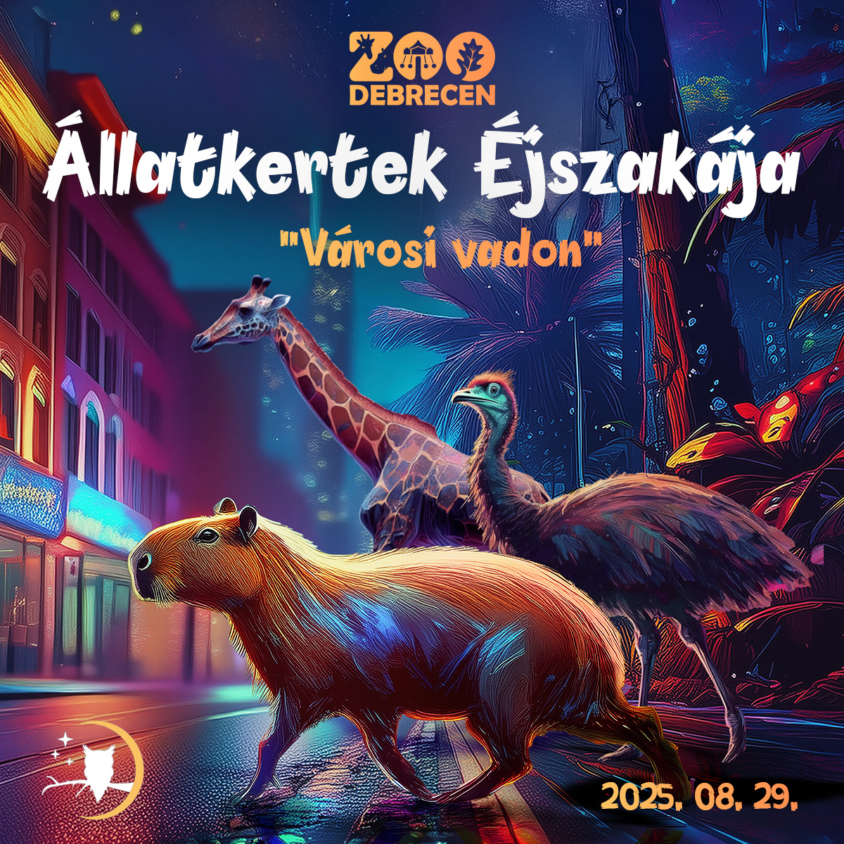 Pénteken ismét megrendezik az állatkertek éjszakáját a debreceni Nagyerdőben