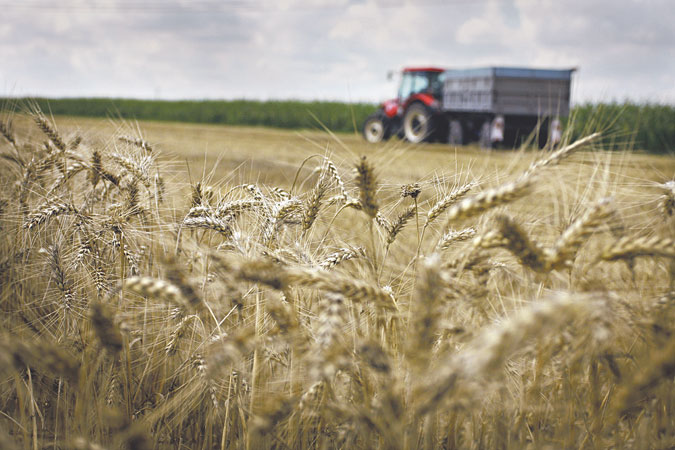 A magyar mezőgazdaság Európa egyik leggyorsabban fejlődő agráriuma