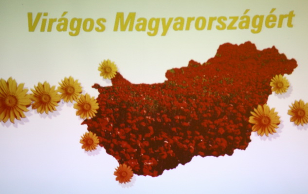 Május végéig várják a nevezéseket a Virágos Magyarországért versenyre