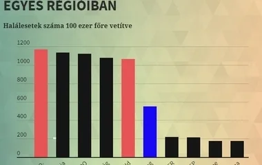 Rengetegen halnak meg krónikus betegségekben