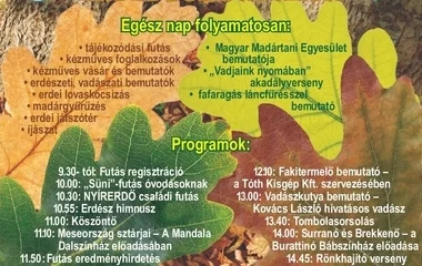 Nyírerdő nap az erdei tornapályán