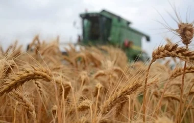 Jövő szerdán indul az agrártámogatások előlegfizetése