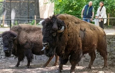 Újra fogad látogatókat a Nyíregyházi Állatpark