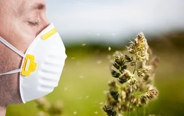 A napokban még nem fogunk tüsszögni a parlagfű pollenjétől