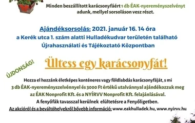 Idén is lesz karácsonyfagyűjtő akció városunkban