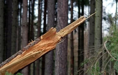 Hajnalban viharos szél érte el megyénket