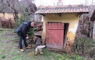 Fiesta kiszagolta a lőszereket