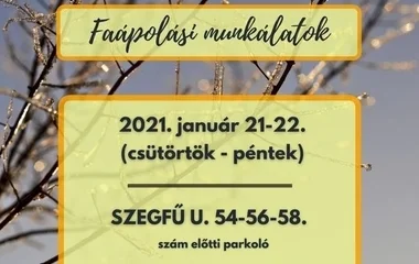 Faápolási munkálatok lesznek a Szegfű utcán