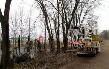 A város több pontján zajlottak faápolási munkálatok