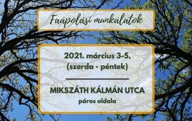 Faápolási munkálatok lesznek a Mikszáth Kálmán utcán