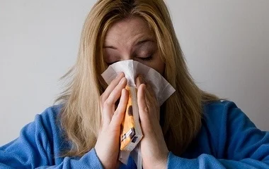 Egyre több az allergén pollen a levegőben