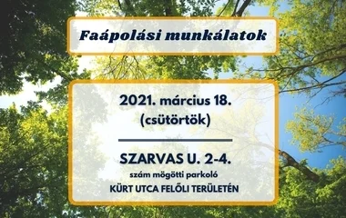 Faápolási munkálatok lesznek a Szarvas utcán