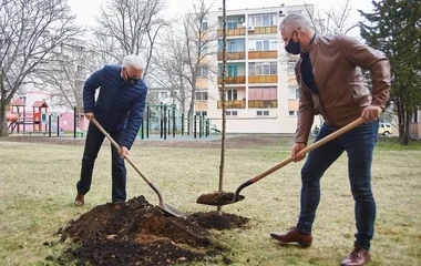 Megépült kilenc új szabadtéri sportpark és folytatódik a nagyszabású fásítási program Nyíregyházán