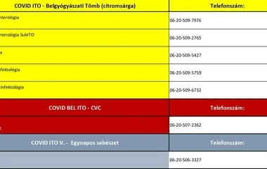 Mobilszámokon is elérhetők a Covid-részlegek