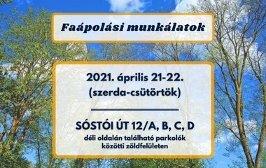 Faápolási munkálatok lesznek a Sóstói úton