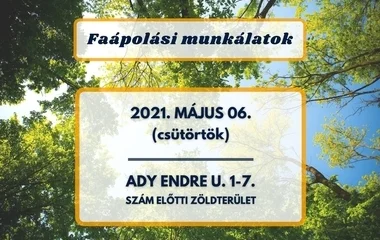 Faápolási munkálatok lesznek az Ady Endre utcán