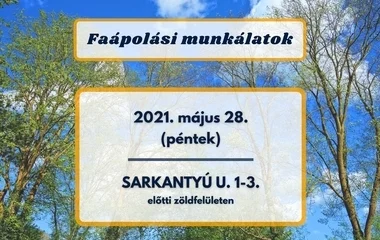 Faápolási munkálatok lesznek a Sarkantyú utcán