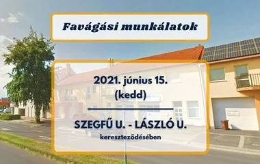 Fakivágást végeznek a Szegfű utca-László utca kereszteződésében