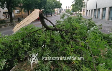 Nagy erőkkel dolgoznak a viharkárok felszámolásán megyénkben