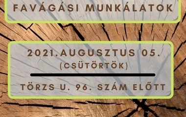 Fakivágást végeznek a Törzs utcán