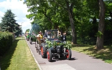 Falunapokat támogat a kormány