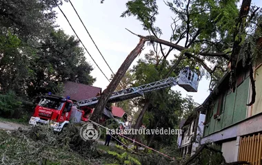 Fákat csavart ki, vezetékeket szakított le a vihar megyénkben