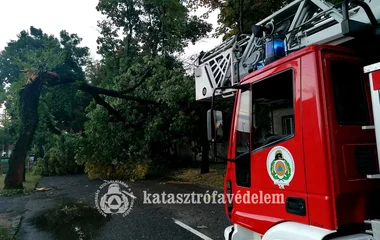 Csaknem 200 helyszínre vonultak a tűzoltók