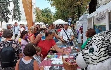 Rendkívül népszerű Nyíregyháza a határon túl is