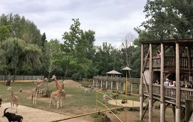 Sok nyíregyházi nyugdíjas vett részt az ingyenes állatparki sétán