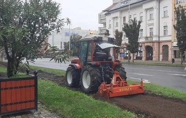 Őszi virágosítás Nyíregyházán