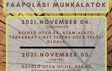 Folytatódnak a faápolási munkálatok Nyíregyházán