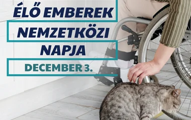 Ma van a Fogyatékkal Élő Emberek Nemzetközi Napja