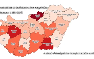 6454 az új fertőzött és elhunyt 80 beteg