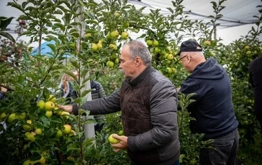 Ismét elérhető lesz az ültetvénytelepítési támogatás